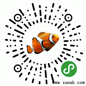 鱼宝贝